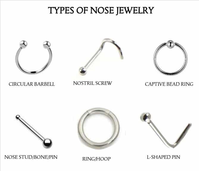 How to Choose a Nose Ring – A Beginner 