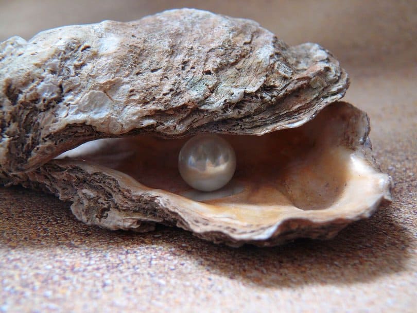 How to Tell if a Pearl is Real | Jewelry Guide