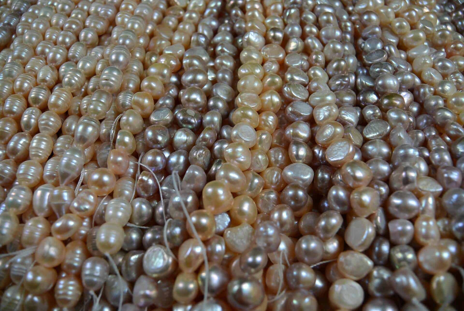 how much are pearls worth from a clam